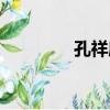 孔祥廉（關于孔祥廉介紹）