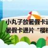 小丸子放暑假卡通片“櫻桃小丸子”主題曲（關于小丸子放暑假卡通片“櫻桃小丸子”主題曲簡介）