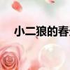 小二狼的春天（關于小二狼的春天簡介）