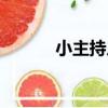 小主持人（關于小主持人簡介）
