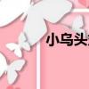 小烏頭丸（關于小烏頭丸簡介）