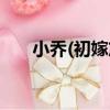 小喬(初嫁篇（關于小喬(初嫁篇簡介）
