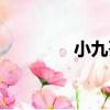 小九哥（關于小九哥簡介）