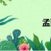 孟麗（關于孟麗介紹）