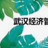 武漢經濟管理學院是幾本（武漢經濟）