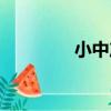 小中產（關于小中產簡介）
