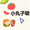 小丸子吸管（關于小丸子吸管簡介）