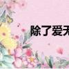 除了愛無任何添加（無添加的愛）