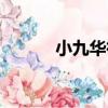 小九華街（關于小九華街簡介）