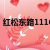 紅松東路1116號怎么走（紅松東路1116號）