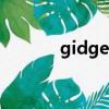 gidget是什么意思（gidget）