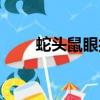 蛇頭鼠眼打一正確生肖（蛇頭鼠眼）