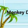 Monkey D Luffy（monkey d luffy）