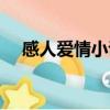 感人愛情小說一看就哭（感人愛情小說）
