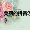 美麗的拼音怎么寫的拼音怎么讀（美麗的拼音）
