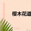 櫻木花道 頭像（櫻木花道qq頭像）