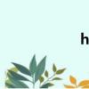 hike z1（hike z1）