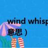 wind whisper是什么意思（whisper是什么意思）