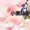 小圃醉中作（關于小圃醉中作簡介）