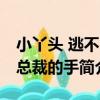 小丫頭 逃不出總裁的手（關于小丫頭 逃不出總裁的手簡介）