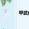 甲武傳說 小說（甲武傳說）