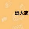 遠大志向的意思（志向的意思）