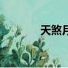 天煞月戟哪里釣（天煞月戟）