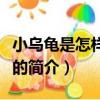 小烏龜是怎樣長大的（關于小烏龜是怎樣長大的簡介）