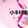 小豐村遺址（關于小豐村遺址簡介）