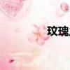 玟瑰之戰一共多少集（玟）