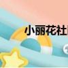 小麗花社區（關于小麗花社區簡介）