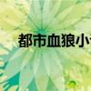都市血狼小說全文免費閱讀（都市天狼）