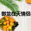 御龍在天情侶名帶符號（御龍在天名字符號）