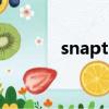 snaptube downloader apk