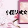 小團隊式文化（關于小團隊式文化簡介）