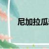 尼加拉瓜耕地面積（尼加拉瓜面積）