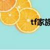 tf家族天宇兄弟（天宇兄弟）