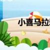 小喜馬拉雅（關于小喜馬拉雅簡介）