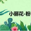 小麗花-粉荷（關于小麗花-粉荷簡介）