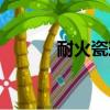 耐火瓷球生產廠家（耐火瓷球）