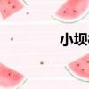 小壩村（關于小壩村簡介）