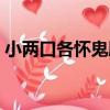 小兩口各懷鬼胎（關于小兩口各懷鬼胎簡介）