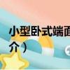 小型臥式端面銑床（關于小型臥式端面銑床簡介）