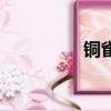 銅雀臺是哪里（銅雀網）