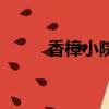香樟小院主人怎樣了（香樟小院）