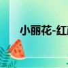 小麗花-紅顏（關于小麗花-紅顏簡介）