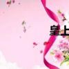 皇上走了txt（皇上走了）