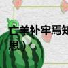 亡羊補牢焉知非福什么意思（焉知非福什么意思）