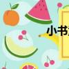 小書童（關于小書童簡介）