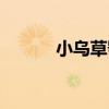 小烏草鸮（關于小烏草鸮簡介）